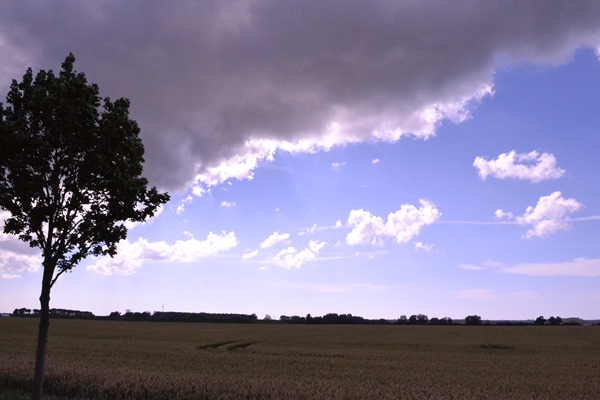 DSC_0003