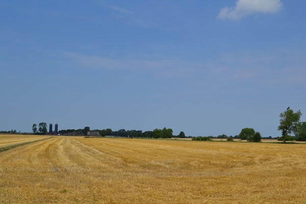 DSC_0003