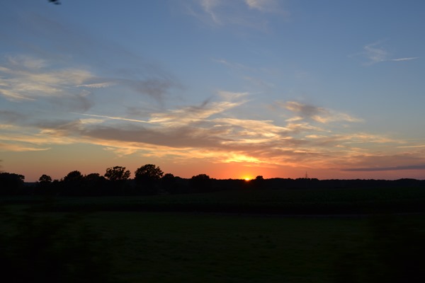 DSC_0015