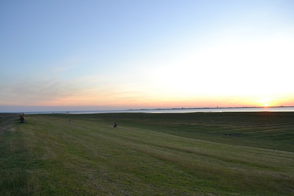 DSC_0016