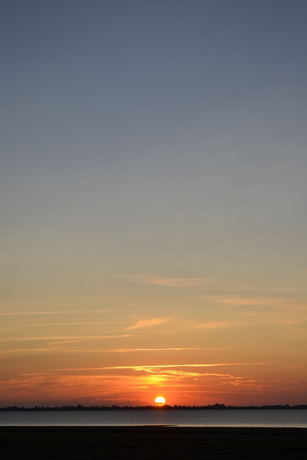 DSC_0018