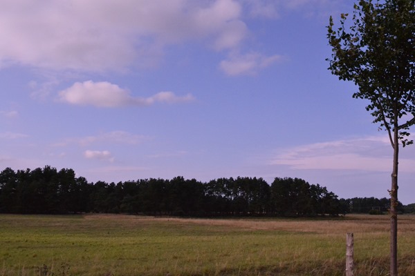 DSC_0025