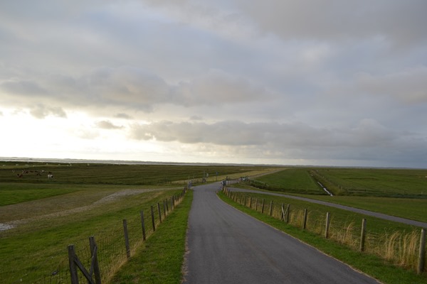 DSC_0049