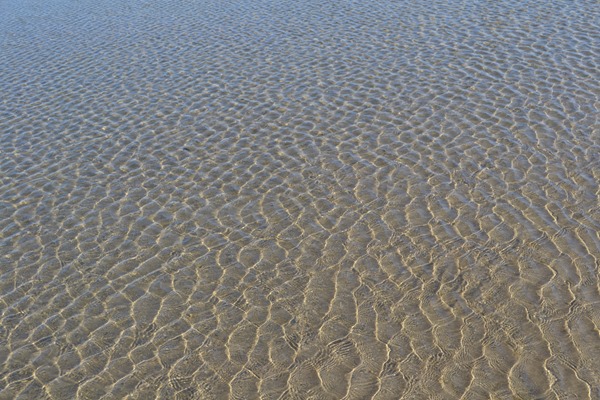 DSC_0051