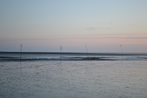 DSC_0171