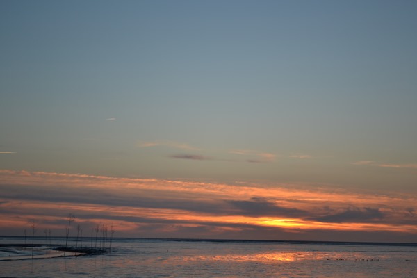 DSC_0180