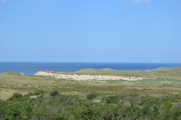 DSC_0237