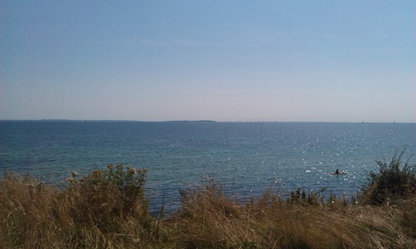 2014-07-29 12.07.54