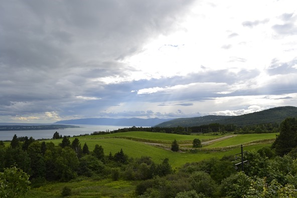 _DSC0012