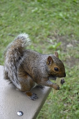 _DSC0128