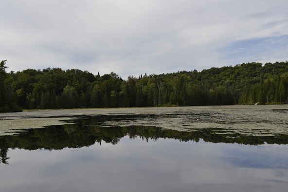 _DSC0223