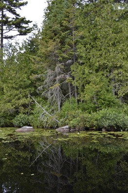 _DSC0249