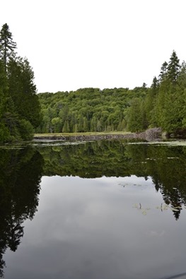 _DSC0257